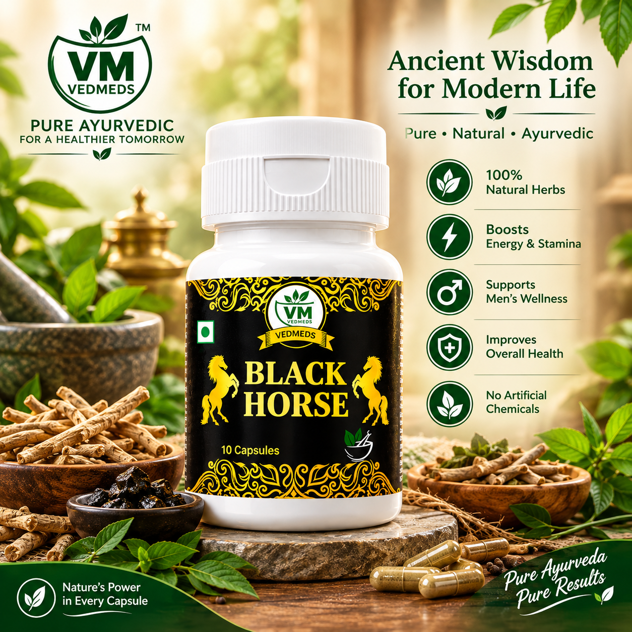 1ST Black Horse Men 10 Capsule - Image 1
