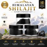 Himalayan Shilajit 10gm