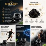 Himalayan Shilajit 10gm - Image 2