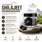Himalayan Shilajit 10gm - Image 3